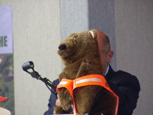 Aber da versteckt sich doch einer hinter dem B&auml;ren.